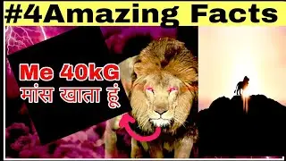 शेर के बारे में  4 रोचक बातें (4amazing fact about lion 🦁)