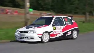 Rally Vy&scaron;kov 2014 | 94 | Miroslav Žůrek - Daniel Ham&scaron;&iacute;k