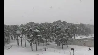 ❄️ Snowstorm Ambience | Cozy Blizzard Sounds for Sleep & Relaxation (No Music)