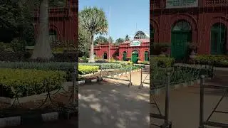 #GardenVibes#ytshorts