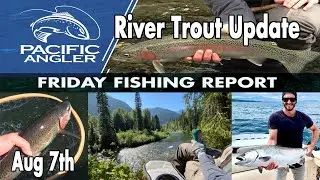 Friday Fishing Report - Aug 7 // River Trout Fishing Update