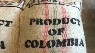 Brooklyn&rsquo;s Third Wave Coffee Shops Signals Growing Emphasis on Sourcing