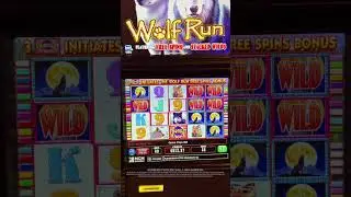 Время для HIGH LIMIT Wolf Run 🐺