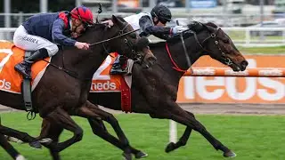 2022 PB LAWRENCE STAKES (G2) | MR BRIGHTSIDE | CAULFIELD, AUSTRALIA |