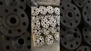 SS 310 Forged Flanges SS F310S WN Flange