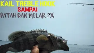 CASTING KERAPU SEMARANG SAMBARAN FULL BABON !!!