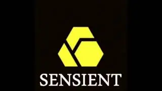 Sensient Live Mix