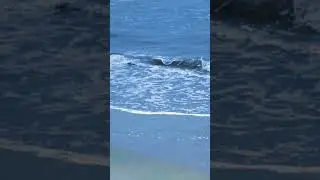 Ocean views of summer #artiflife #wip #oceanwaves