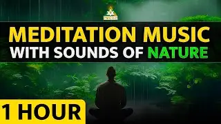 [1 Hour] Meditation Music - Relaxing and Calming Music for Meditation