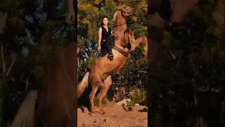 Most Dangerous Horse Stunts! 🤯🔥