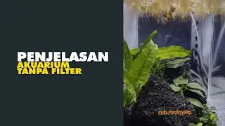 Macam mana nak buat akuarium tanpa filter