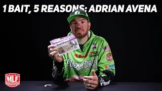 1 Bait, 5 Reasons: Adrian Avena