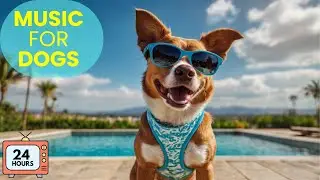 Relaxing Beach Music for Dogs: Calm Your Pet&rsquo;s Stress