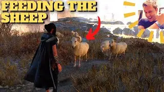 Forspoken -  Feeding the Sheep (Detour, find last hungry sheep)
