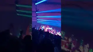Foam wonderland 2019 - Borgore - ratchet