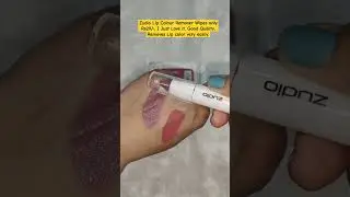 Lip Colour Remover Wipes Review #zudio #shorts #viral #skincare #makeup