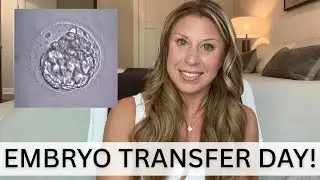 Embryo Transfer Day!- FET #2 - IVF Journey