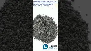 Graphitized petroleum coke