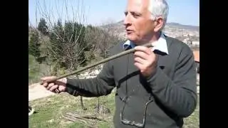 U fischieattu (il fischietto)