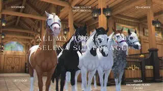 All My Horses on Silver 2026 || SSO VIDEO