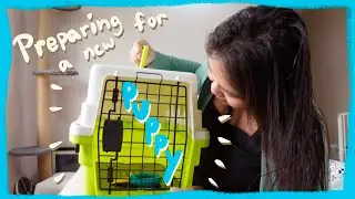Preparing for my New Toy Poodle Puppy |Winter Series| The Poodle Mom