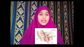ilmagaleenka oo dabca /minka/uterus prolapse