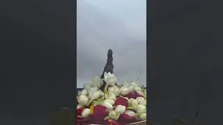 Priceless video of Prophet Mohammed PBUH BEARD HAIR