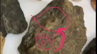 Archetypes of Humans in Lithic Artifacts Black Paint &ldquo;Story Stones&rdquo; The Right Place Artifacts. #life