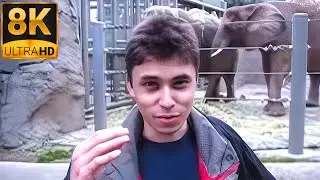 Me at the zoo 8k Upscaled - First Youtube Video