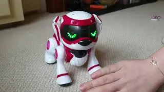 Teksta Puppy