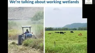 Wetlands for on-farm water management- Discovery Farms Webinar Series