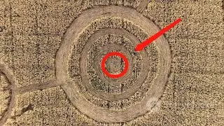 The forests creating circles on its own..