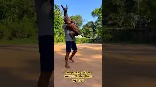 Cardio #chippiparai