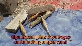 tiga jenis kayu  yang sangat bagus untuk udang udang umpan cumi