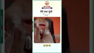 Monkey memes 😂😂😂 #monkeymemes #memes #monkey #laugh #gullybawa #governmentmemes