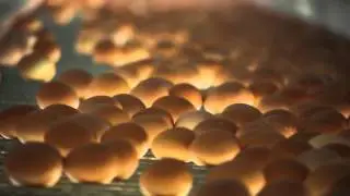 Avi&aacute;rio do Resouro | Produ&ccedil;&atilde;o de Ovos