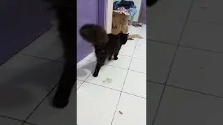 ga boleh masuk ya sudah, makan aja