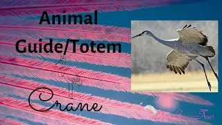 Журавль Животное-путеводитель/Тотем