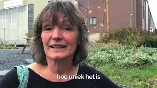 Berteld