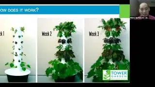 Everything you want to know about Tower Gardens with Henry Lee and Jim Gonsoulin.