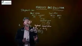 1024x576 Dihybrid Cross Videos, JEE Foundation Class 10 Biology Video Tutorials   Topperlearning