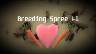 Alicia Online | Breeding Spree #1
