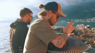 Handpan duo | NovaDrum | A perfect mix of calm and harmony