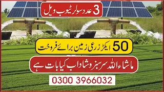 زرعی زمین 50 ایکڑ  Agricultureland for sale | Thalland for sale Land for sale CheapLand for sale
