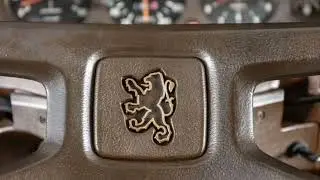 🛑 Peugeot 604 SL ✓✓