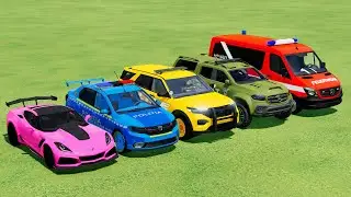 Chevrolet, Dacia, Ford, Mercedes X Class, Mercedes Sprinter With Cars Transport of Man Trucks