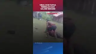 KKB Papua Terpecah Belah, Kelompok Lewis Kogoya Serang Kelompok Jhoni Botak