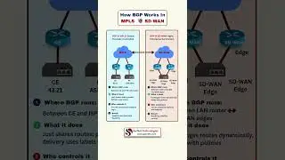 BGP in MPLS vs SD-WAN Explained | Networking Made&nbsp;Simple