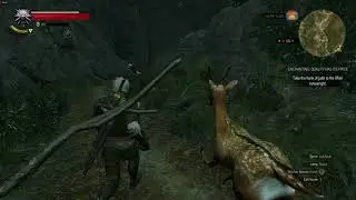 Ancient Leshen in Velen near Oxenfurt