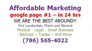 Seo Company In Coral Springs - CALL 786-565-4022